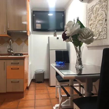 Viviendas Turisticas La Luna Atico Apartment
