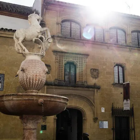 Viviendas Turisticas La Luna Atico Apartment Cordoba